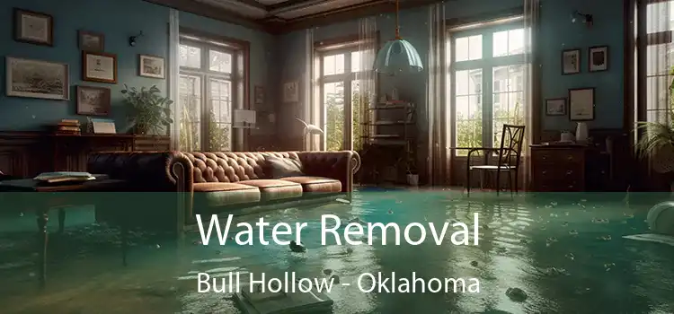 Water Removal Bull Hollow - Oklahoma