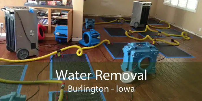 Water Removal Burlington - Iowa