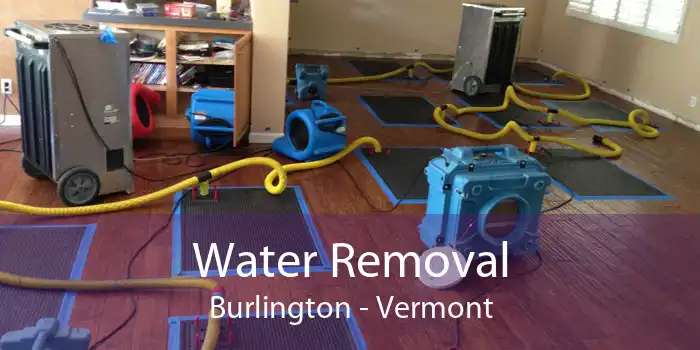 Water Removal Burlington - Vermont
