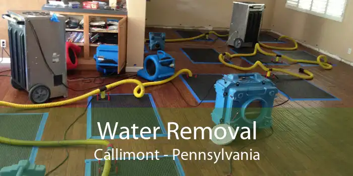 Water Removal Callimont - Pennsylvania