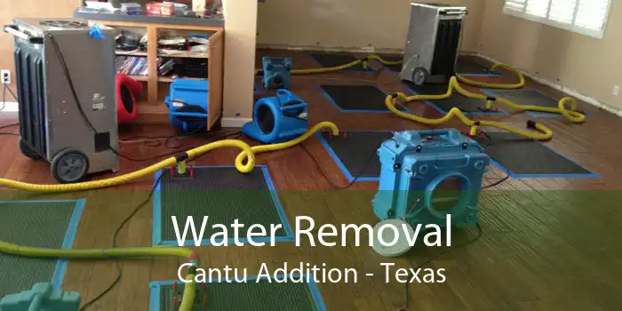 Water Removal Cantu Addition - Texas