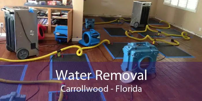 Water Removal Carrollwood - Florida