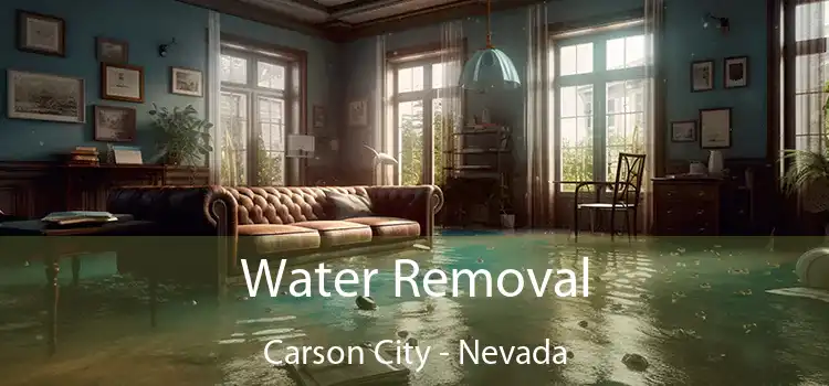 Water Removal Carson City - Nevada