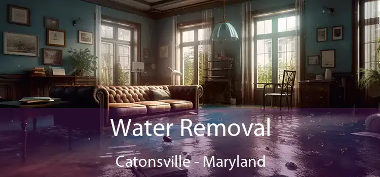 Water Removal Catonsville - Maryland