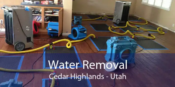 Water Removal Cedar Highlands - Utah