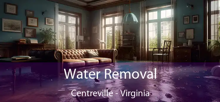 Water Removal Centreville - Virginia