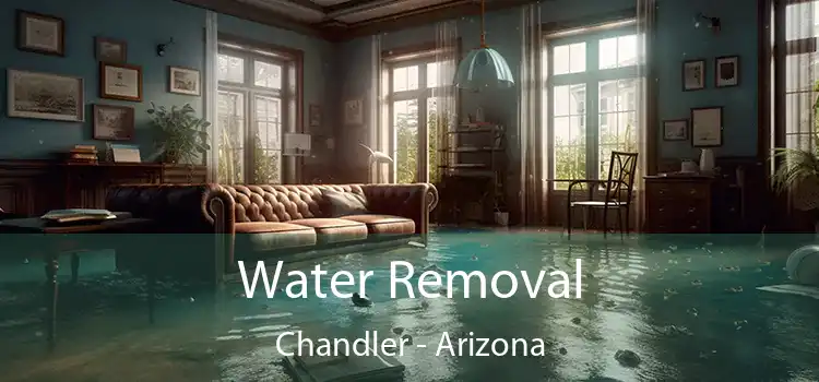 Water Removal Chandler - Arizona