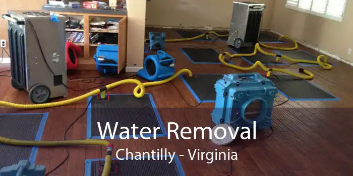 Water Removal Chantilly - Virginia