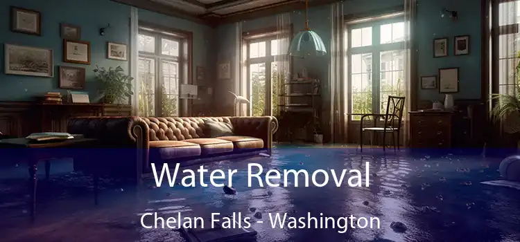 Water Removal Chelan Falls - Washington