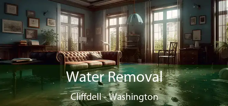 Water Removal Cliffdell - Washington