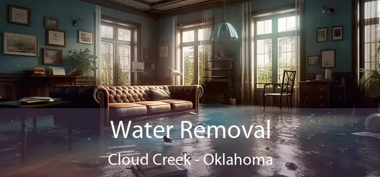 Water Removal Cloud Creek - Oklahoma