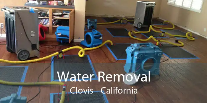 Water Removal Clovis - California