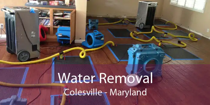 Water Removal Colesville - Maryland