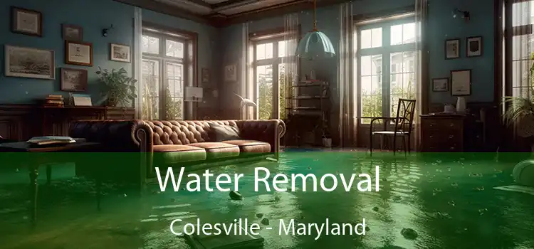 Water Removal Colesville - Maryland