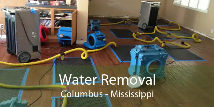 Water Removal Columbus - Mississippi