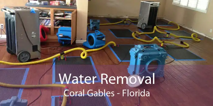 Water Removal Coral Gables - Florida
