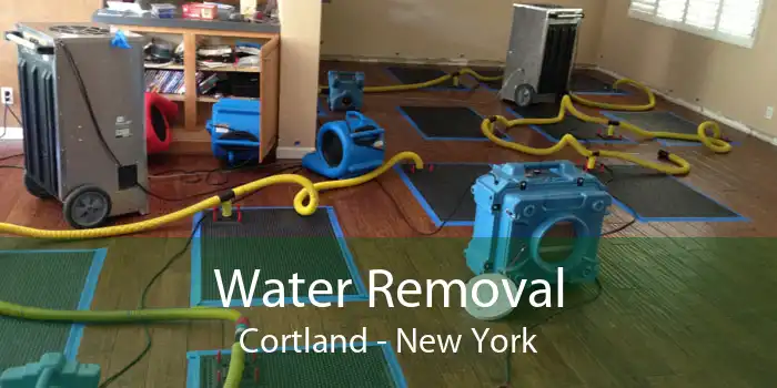 Water Removal Cortland - New York