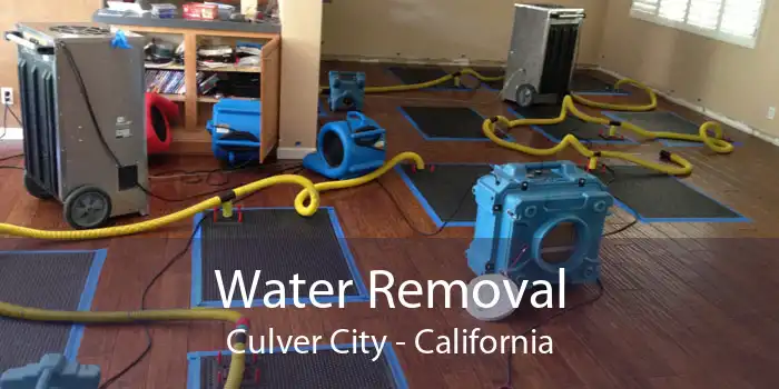 Water Removal Culver City - California