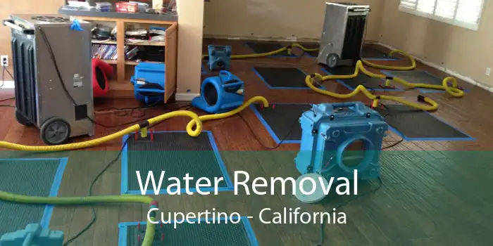 Water Removal Cupertino - California