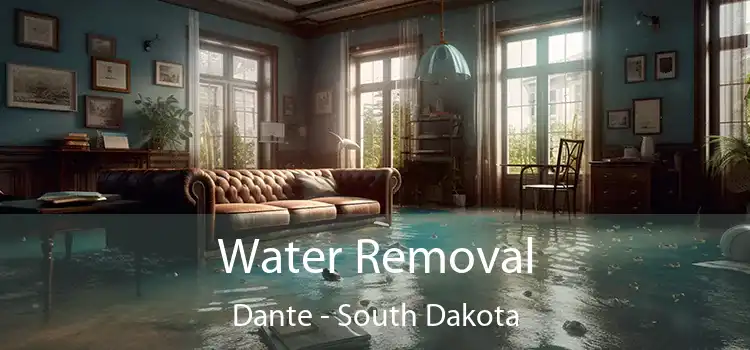 Water Removal Dante - South Dakota