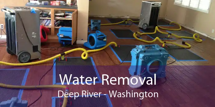 Water Removal Deep River - Washington