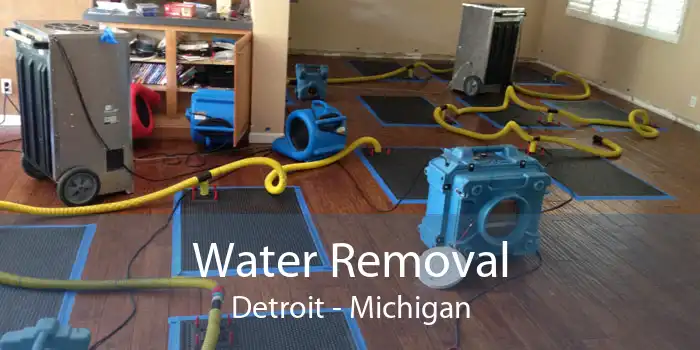 Water Removal Detroit - Michigan
