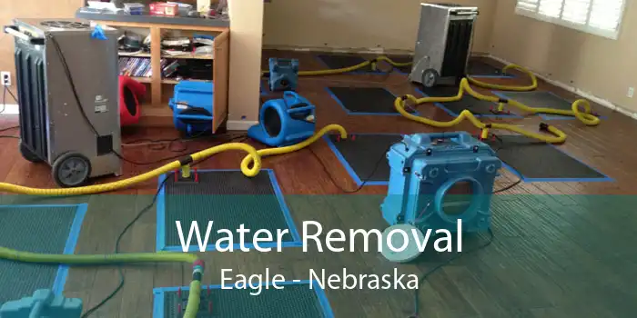 Water Removal Eagle - Nebraska
