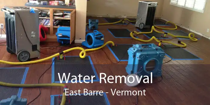 Water Removal East Barre - Vermont