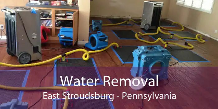 Water Removal East Stroudsburg - Pennsylvania