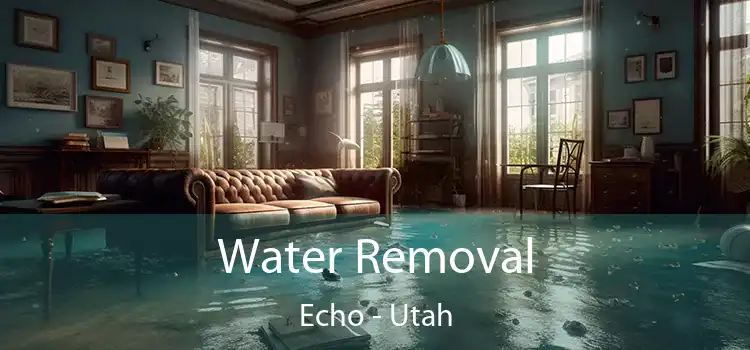 Water Removal Echo - Utah