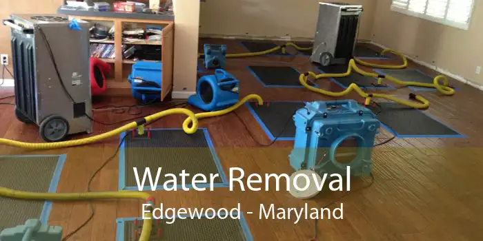 Water Removal Edgewood - Maryland