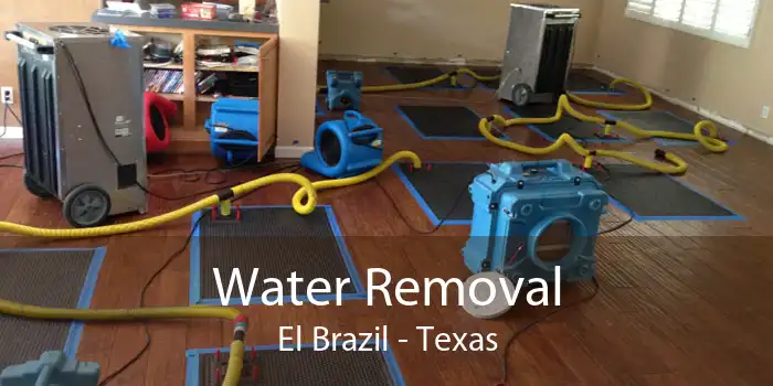 Water Removal El Brazil - Texas