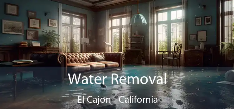 Water Removal El Cajon - California