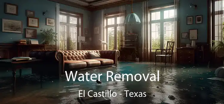 Water Removal El Castillo - Texas