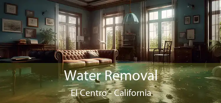 Water Removal El Centro - California