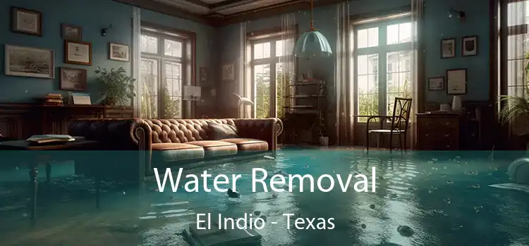 Water Removal El Indio - Texas