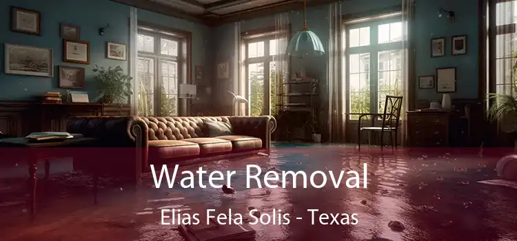 Water Removal Elias Fela Solis - Texas