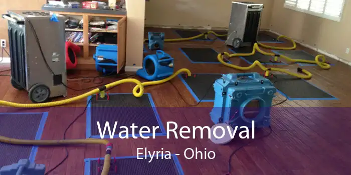 Water Removal Elyria - Ohio