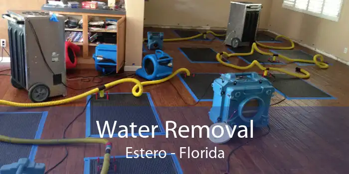 Water Removal Estero - Florida