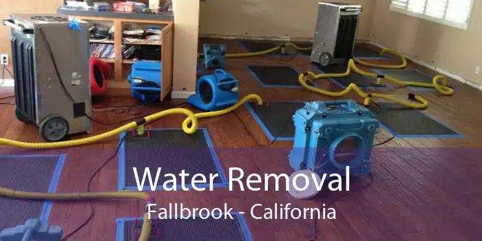 Water Removal Fallbrook - California