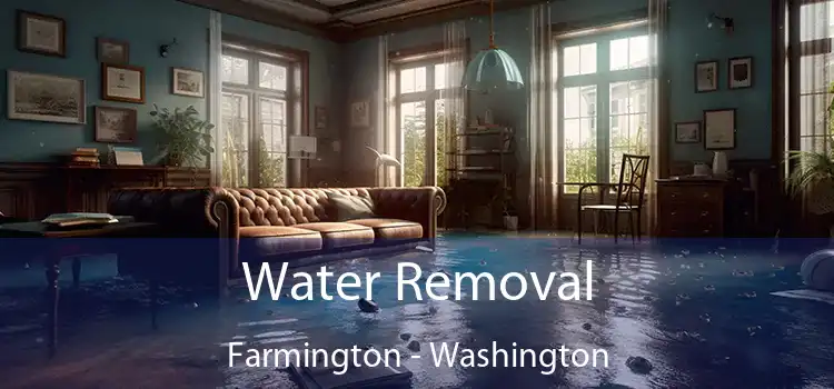 Water Removal Farmington - Washington