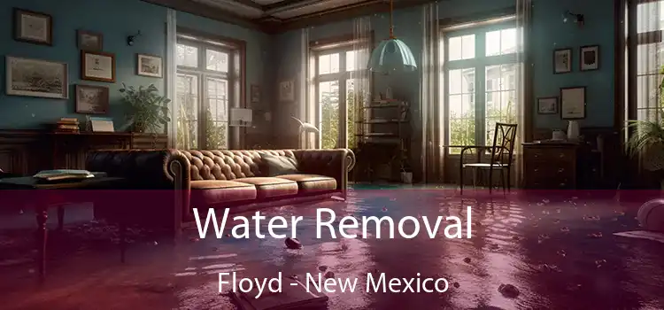 Water Removal Floyd - New Mexico