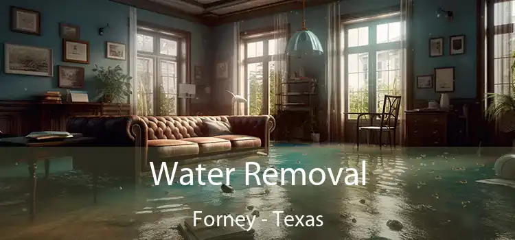 Water Removal Forney - Texas