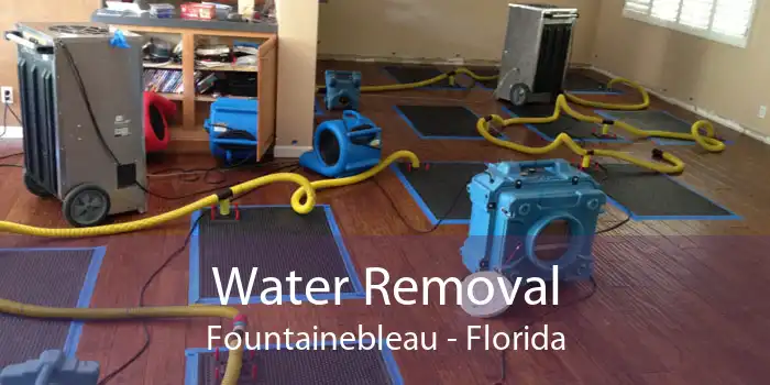 Water Removal Fountainebleau - Florida