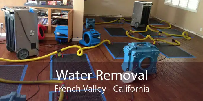 Water Removal French Valley - California