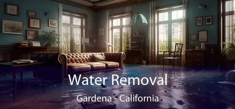 Water Removal Gardena - California