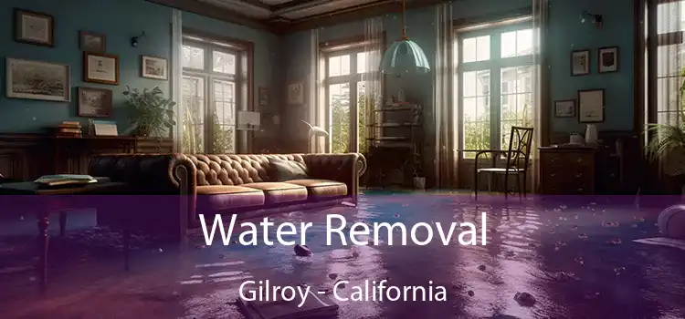 Water Removal Gilroy - California