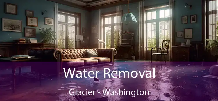 Water Removal Glacier - Washington