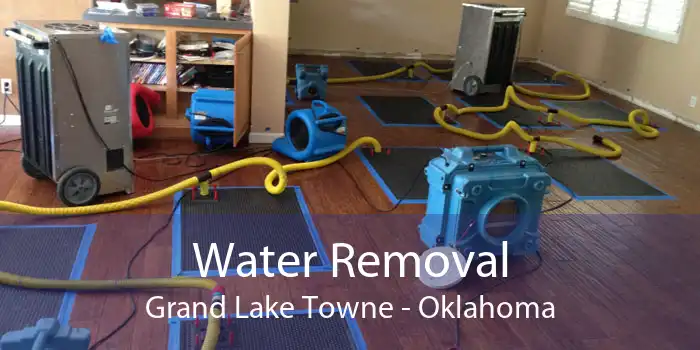 Water Removal Grand Lake Towne - Oklahoma