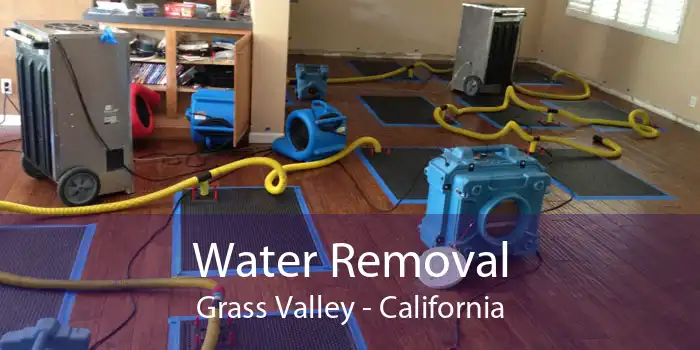 Water Removal Grass Valley - California
